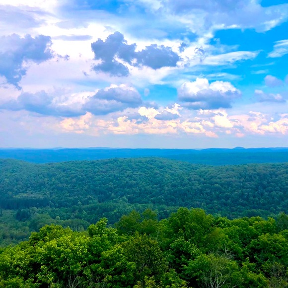 Meet your Posher, Mailys - Picture 1 of 1